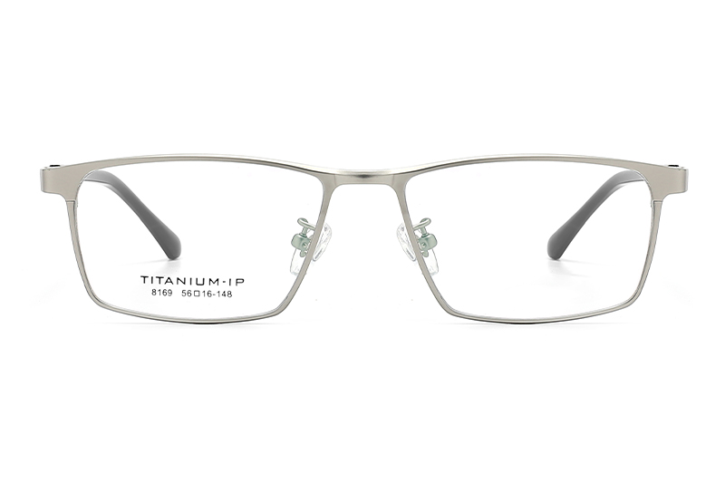 TC8169 Eyeglasses Silver