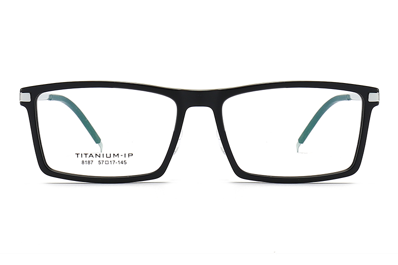 TC8187 Eyeglasses Black Silver