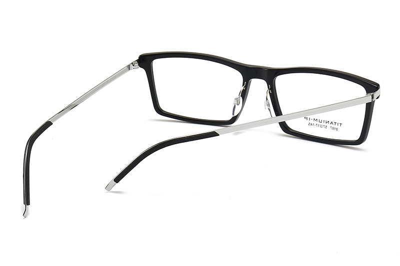 TC8187 Eyeglasses Black Silver