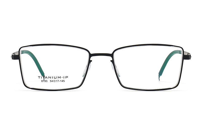 TC8193 Eyeglasses Black