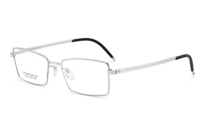 TC8193 Eyeglasses Silver Black