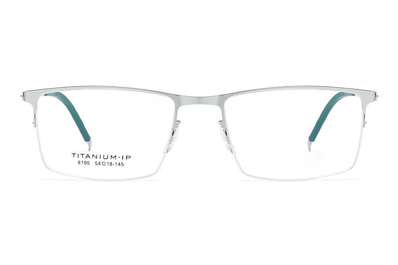 TC8195 Eyeglasses Silver Black