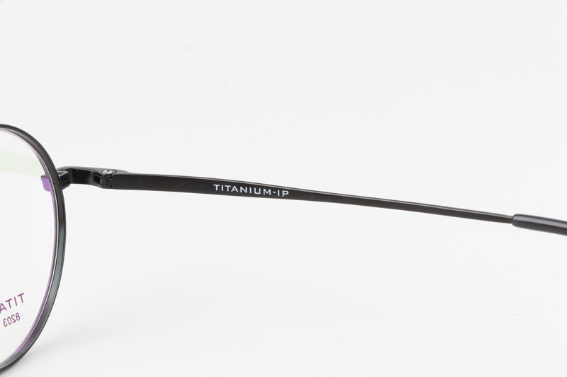 TC8203 Eyeglasses Black