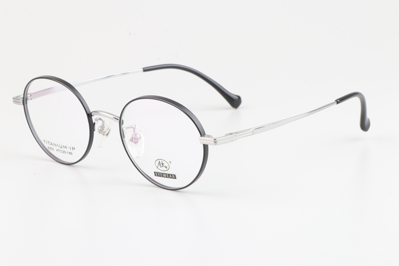 TC8203 Eyeglasses Black Silver