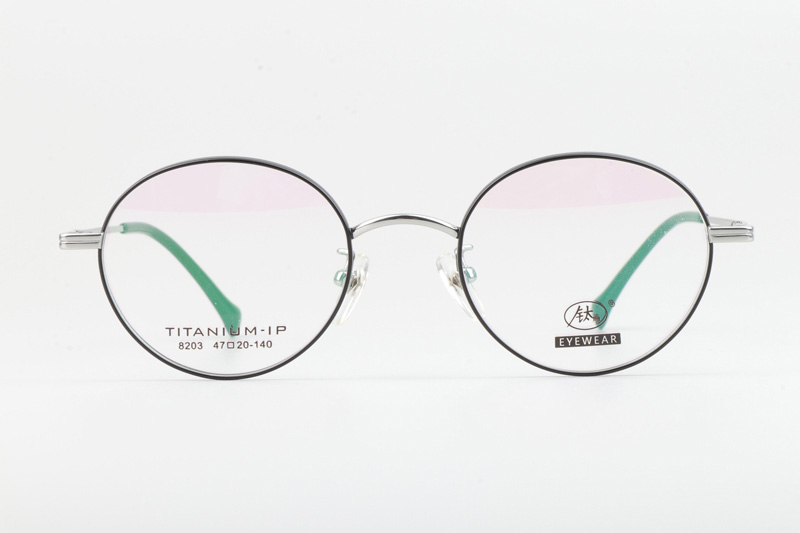 TC8203 Eyeglasses Black Silver