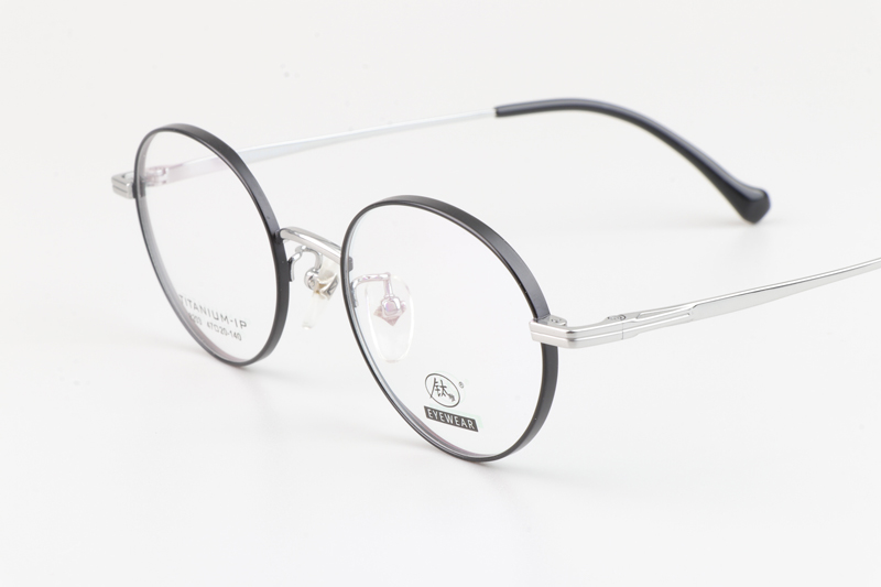 TC8203 Eyeglasses Black Silver