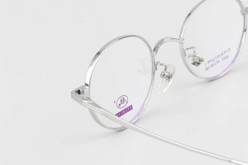 TC8203 Eyeglasses Silver