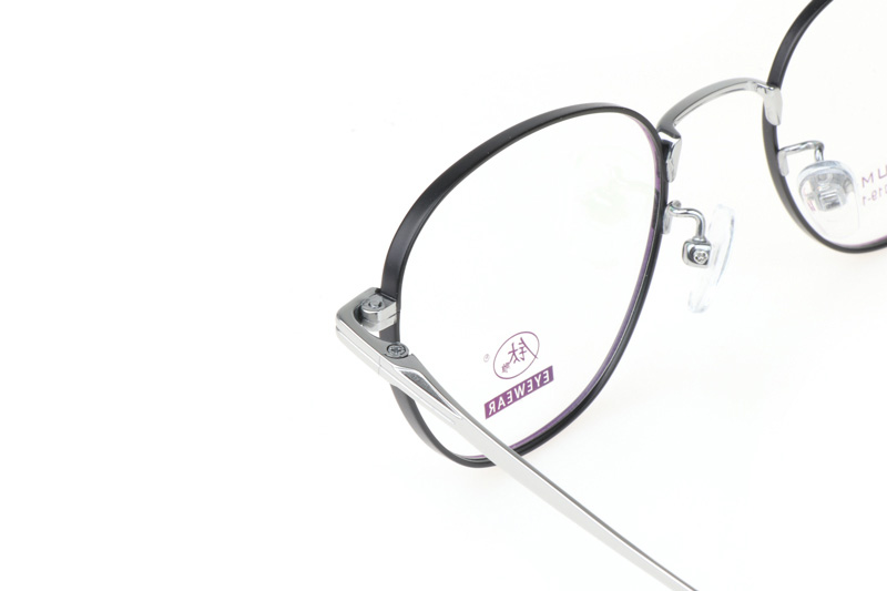 TC8205 Eyeglasses Black Silver