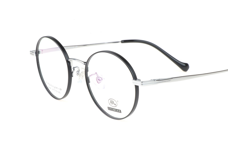 TC8206 Eyeglasses Black Silver