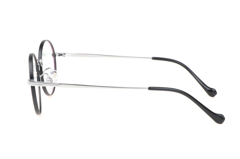 TC8206 Eyeglasses Black Silver