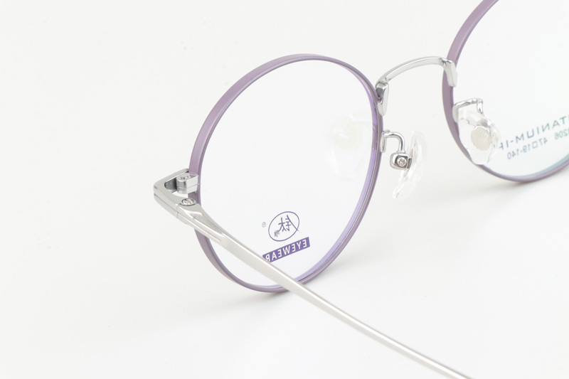 TC8206 Eyeglasses Purple Silver