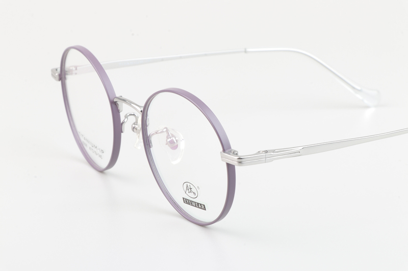 TC8206 Eyeglasses Purple Silver