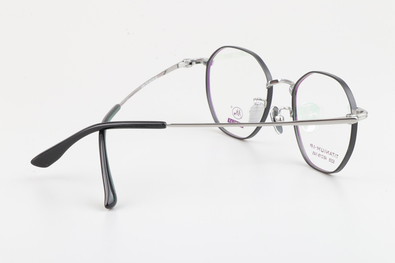 TC8208 Eyeglasses Black Silver