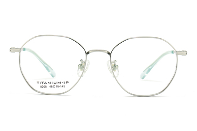 TC8208 Eyeglasses Silver