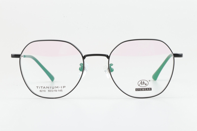 TC8210 Eyeglasses Black