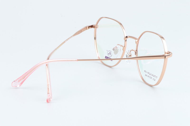 TC8210 Eyeglasses Gold