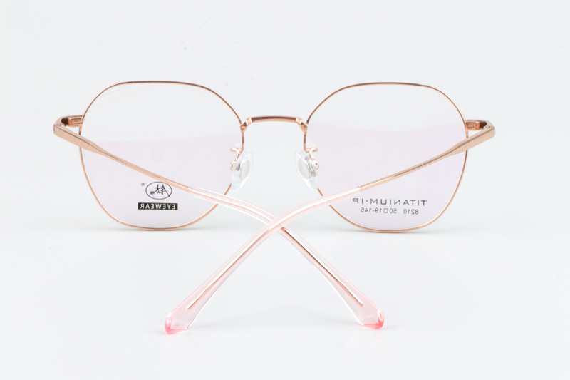 TC8210 Eyeglasses Gold