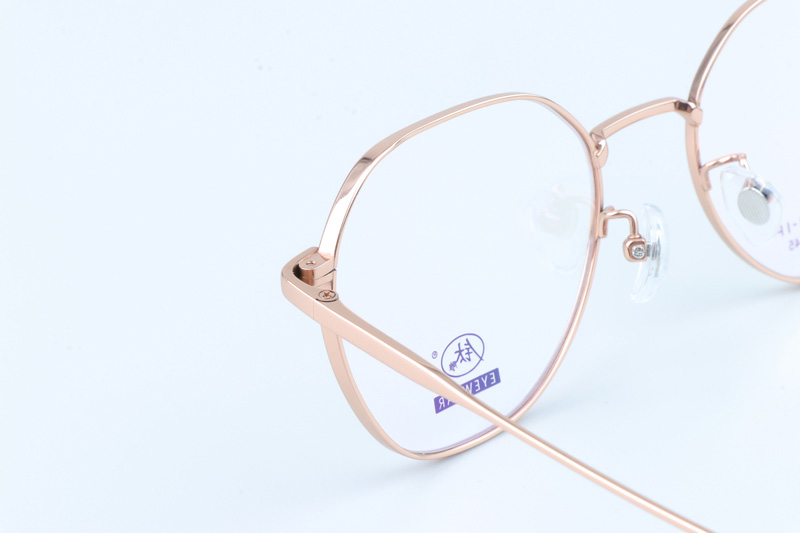 TC8210 Eyeglasses Gold