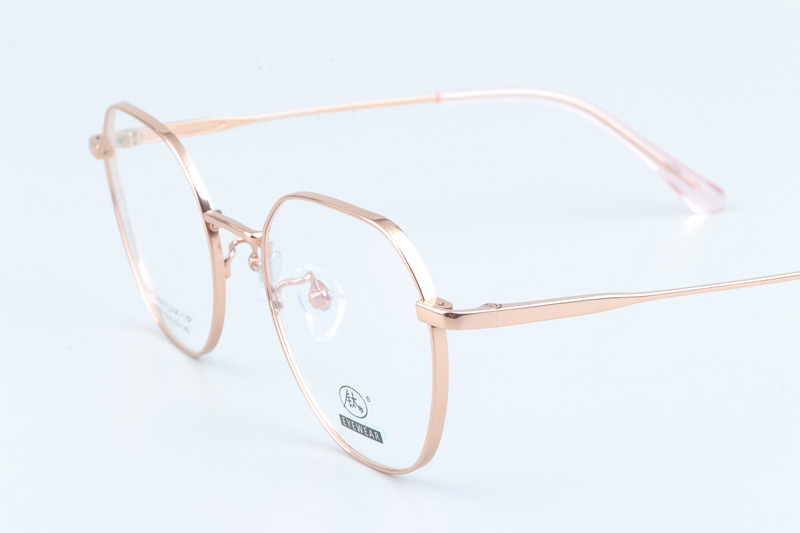 TC8210 Eyeglasses Gold