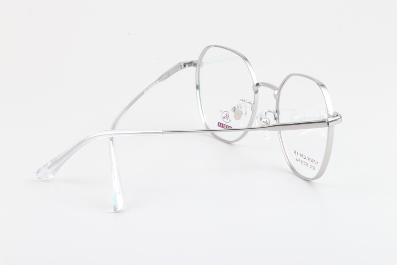 TC8210 Eyeglasses Silver