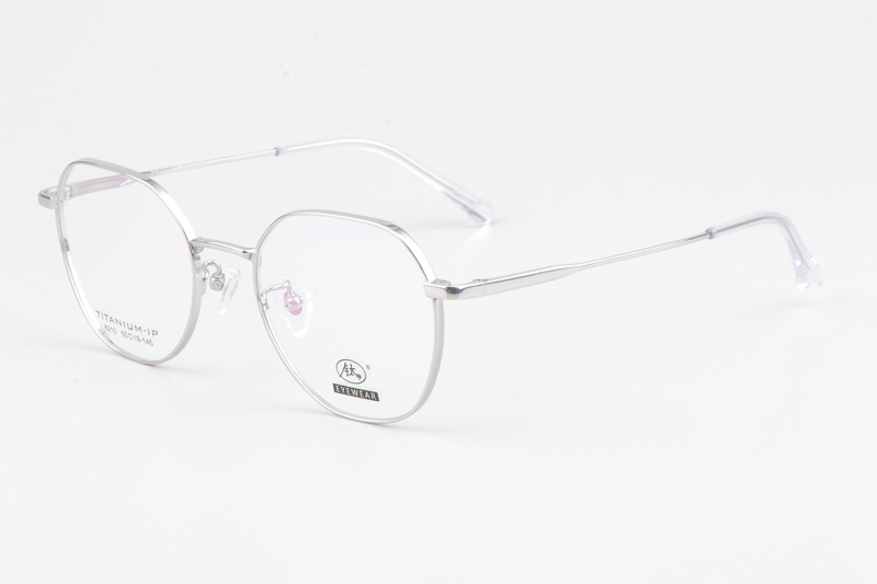 TC8210 Eyeglasses Silver