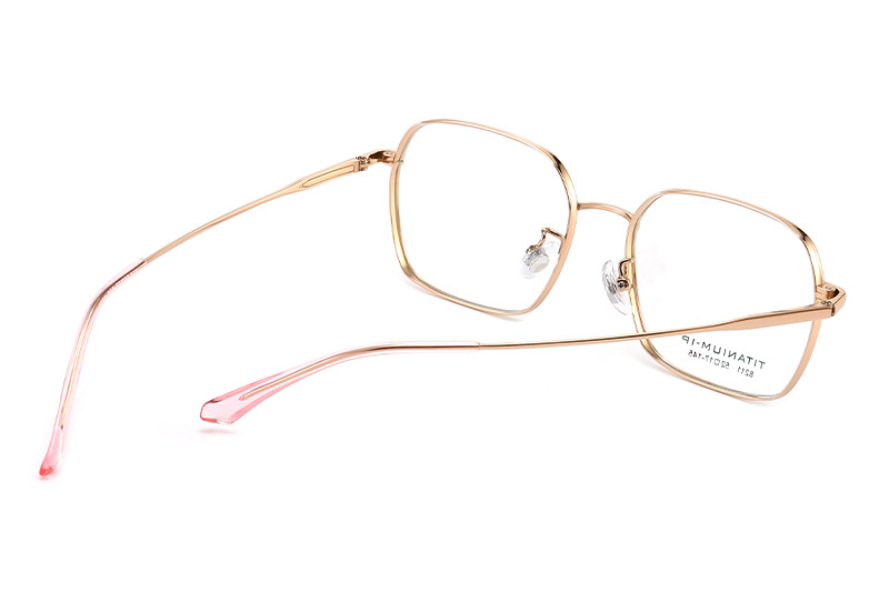 TC8211 Eyeglasses Gold