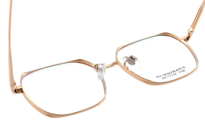 TC8211 Eyeglasses Gold