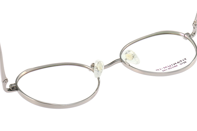 TC8212 Eyeglasses Silver