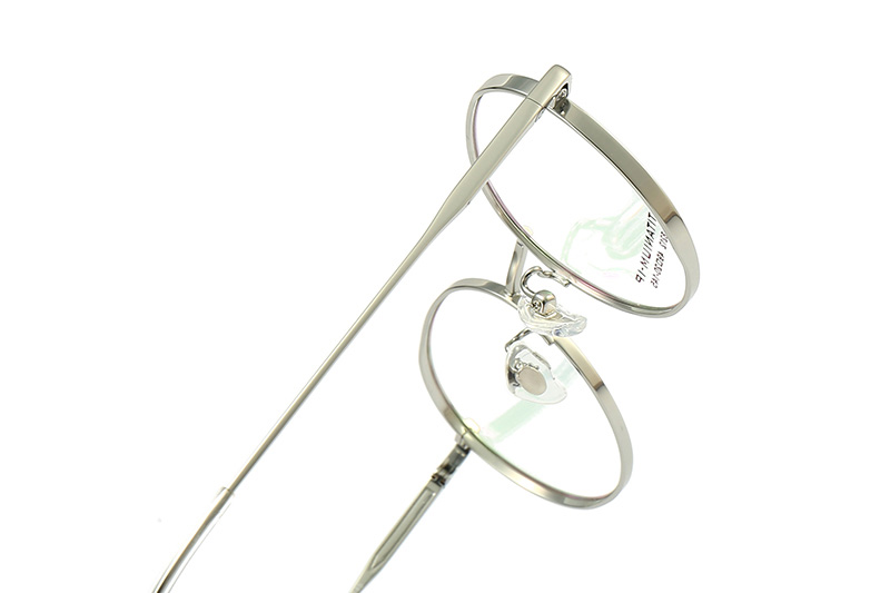 TC8212 Eyeglasses Silver