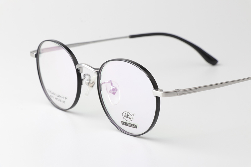 TC8213 Eyeglasses Black Silver