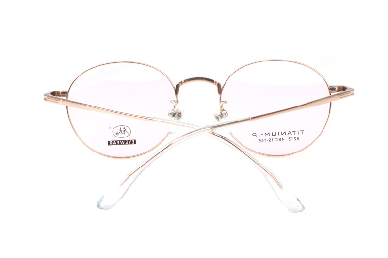 TC8213 Eyeglasses Gold