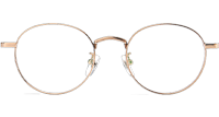 TC8213 Eyeglasses Gold