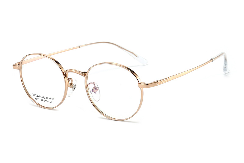 TC8213 Eyeglasses Gold