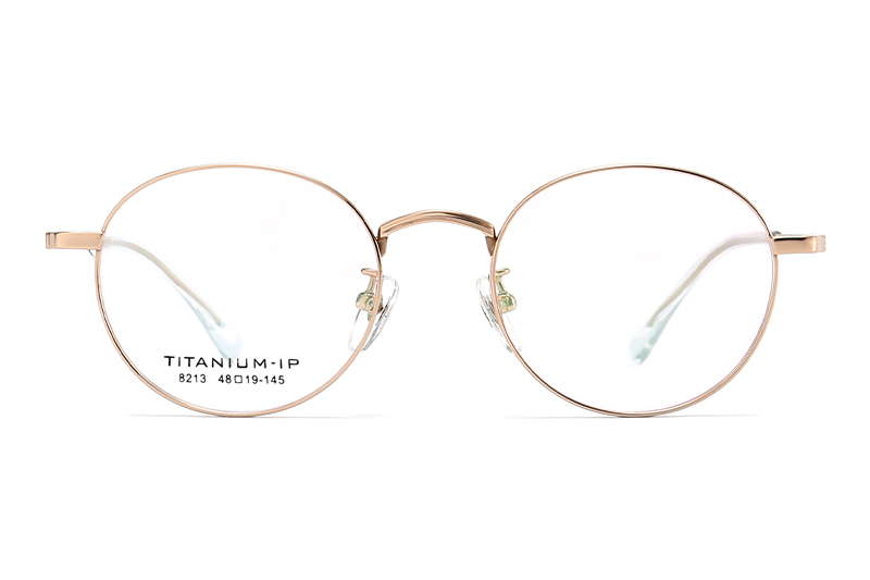 TC8213 Eyeglasses Gold