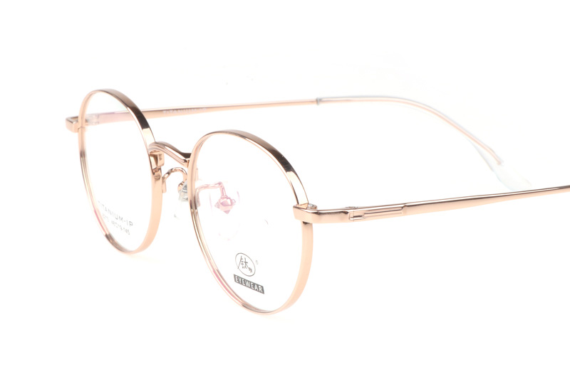 TC8213 Eyeglasses Gold