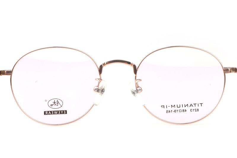 TC8213 Eyeglasses Gold