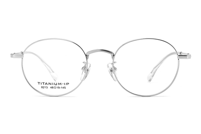 TC8213 Eyeglasses Silver