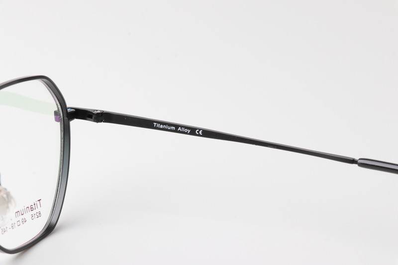 TC8215 Eyeglasses Black