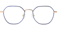 TC8215 Eyeglasses Blue Gold