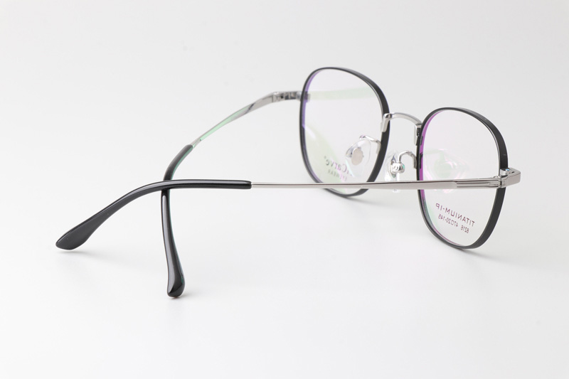 TC8216 Eyeglasses Black Silver