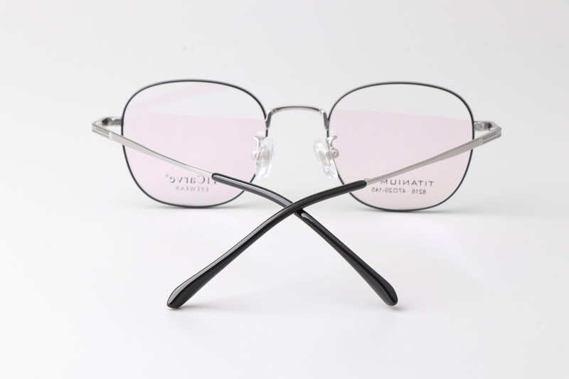 TC8216 Eyeglasses Black Silver