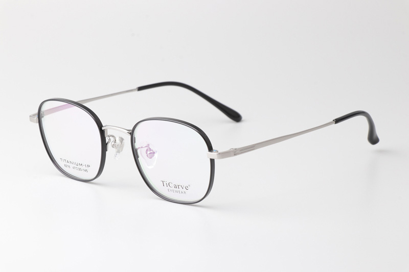 TC8216 Eyeglasses Black Silver