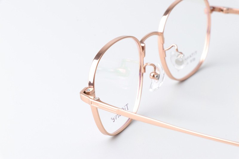 TC8216 Eyeglasses Gold