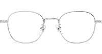 TC8216 Eyeglasses Silver