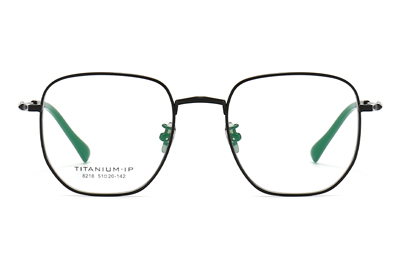 TC8218 Eyeglasses Black