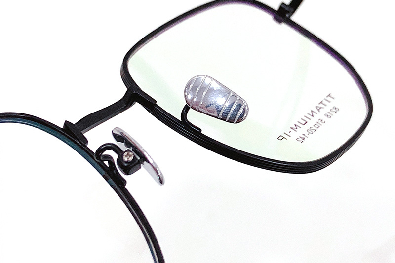 TC8218 Eyeglasses Black