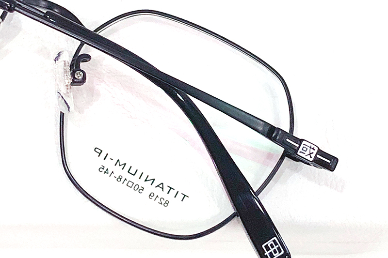TC8219 Eyeglasses Black