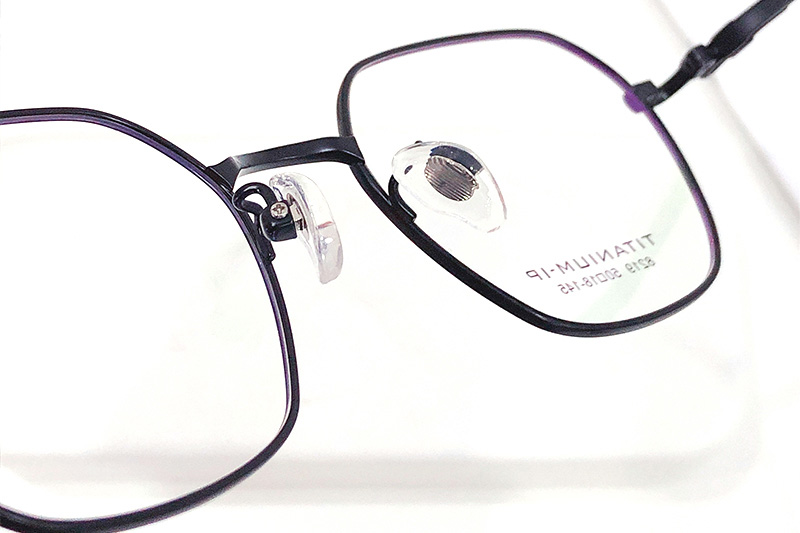 TC8219 Eyeglasses Black