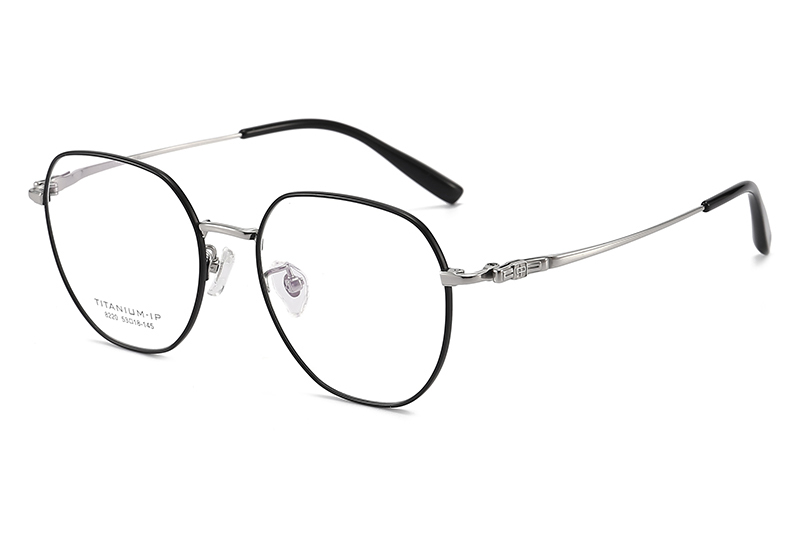 TC8220 Eyeglasses Black Silver
