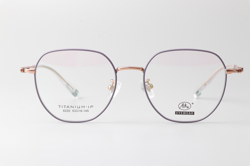 TC8220 Eyeglasses Purple Gold